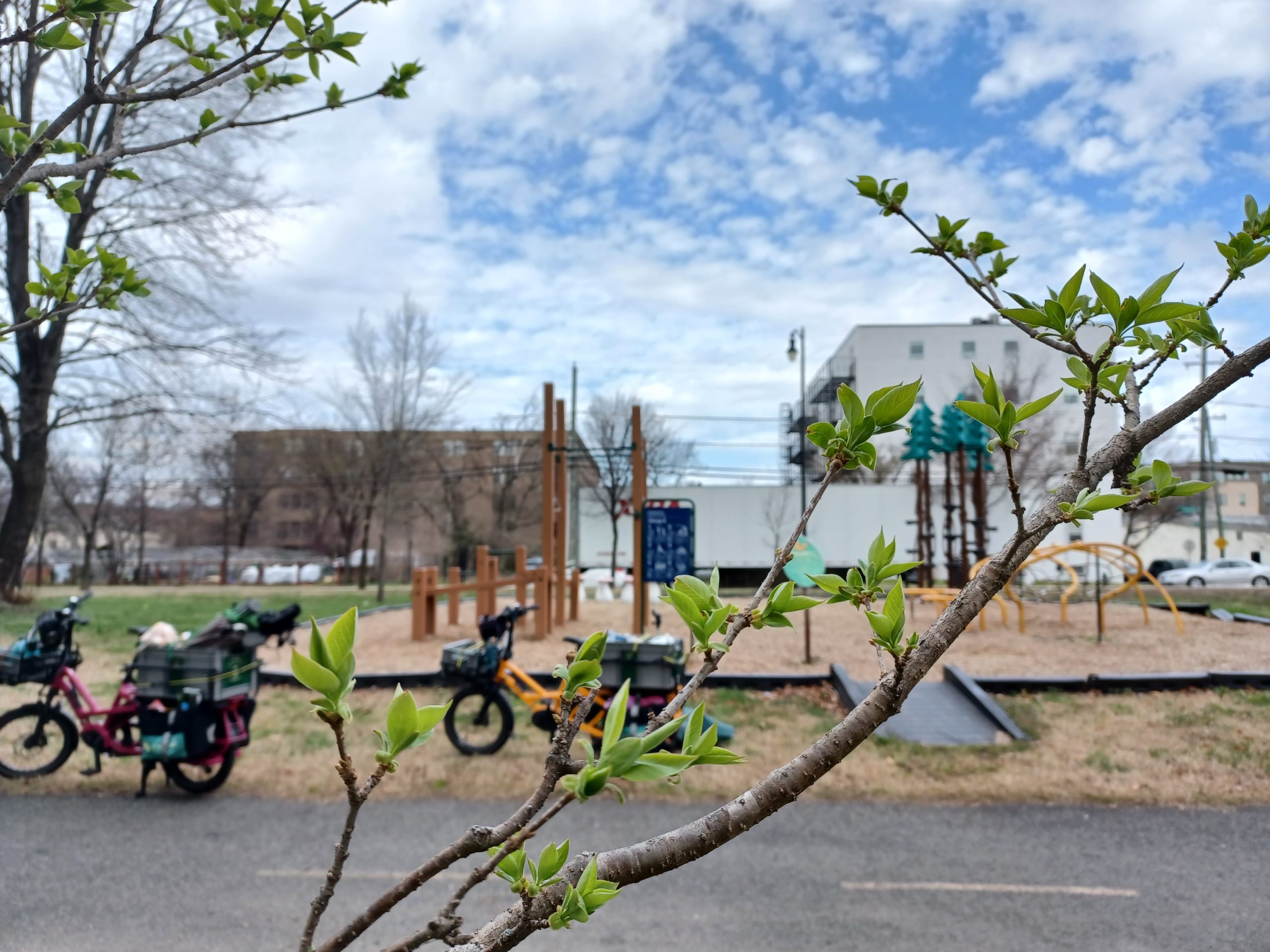 the new leaves on a tree are in focus, behind you can see a blue clouded sky, a playground, two bicycles and a trail bed of the Marvin Gaye Trail